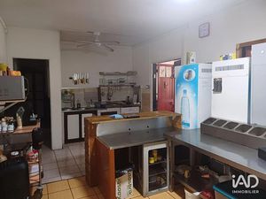 Vente locaux professionnels 50 m² à Le tampon (97430)  60 500 €