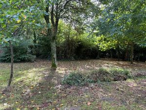 Vente terrain 770 m² à Le Porge (33680)  210 000 €