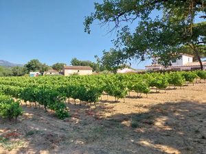 Vente terrain 544 m² à Cogolin (83310)  295 000 €