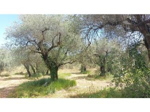 Vente terrain 2550 m² à Opio (06650)  550 000 €