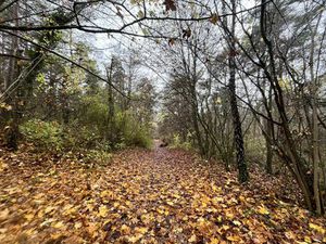 Vente terrain 108475 m² Belleu (02200)