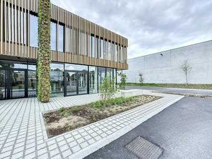 Local commercial moderne à louer à Casco (m²)