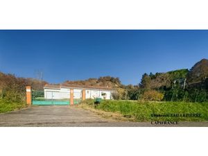 Maison plain-pied 135 m² – Terrain 3 000 m² arboré – Le Plan (31220)