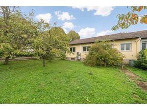 SAFTI HACKEL Cynthia conseiller indépendant