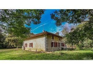 L'airial de Pélanne à Laluque