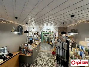 LOCAL COMMERCIAL A VENDRE