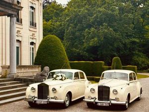 Commerciële eigendom te koop in Sint-Niklaas