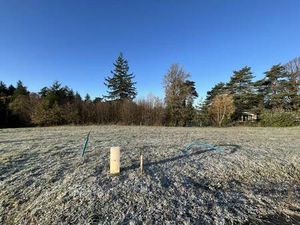 Vente terrain 1602 m² Palazinges (19190)