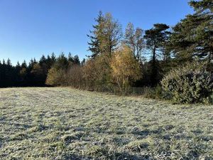 Vente terrain 1680 m² Palazinges (19190)