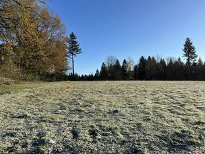 Vente terrain 1728 m² Palazinges (19190)