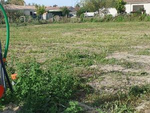 Terrain à bâtir à Cubnezais (33620)