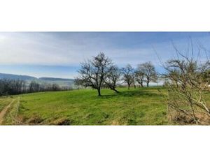 Annonce vente terrain terrain à Dieulouard (54380) - ParuVendu.fr ref 992783599798