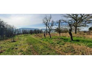 Annonce vente terrain terrain à Landremont (54380) - ParuVendu.fr ref 992783599793