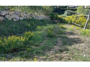 Terrain Mandelieu-la-Napoule m² T- à vendre  40 000 €