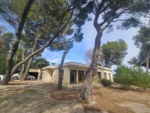 TINKER BELL REAL ESTATE