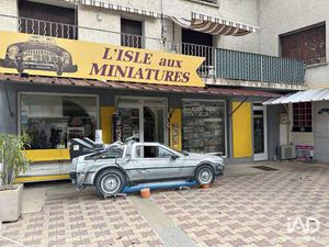 Local d'activités à vendre