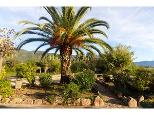 Rare : Rez de jardin - Pied dans l'eau - Aperçu mer.