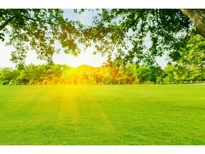 Vente terrain 1217 m² à Méreau (18120)  37 990 €