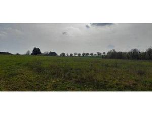 Terrain constructible viabilisé à vendre