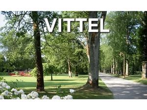 Immeuble à vendre VITTEL (88) Possibilité création 2 appartements T2 et T3 avec TERRAIN