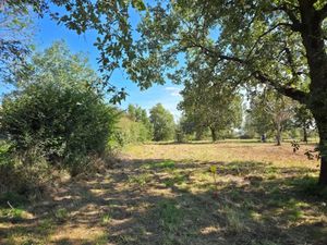 Vente terrain 503 m² à Seysses (31600)  96 500 €