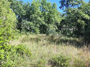 Vente terrain 1397 m² à Néoules (83136)  176 200 €