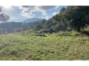 Vente terrain 1192 m² à La Valette-du-Var (83160)  345 000 €