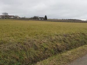 Terrain commune de Louchy Montfand