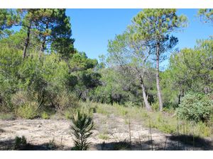 TERRAIN VIABILISE SALERNES