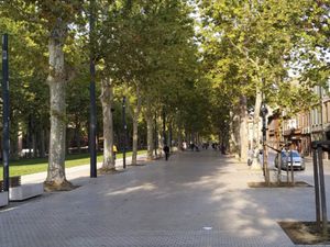 Immeuble - Jardin des plantes - 166 m2