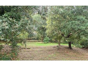 Terrain Biot m² T- à vendre  1 290 000 €