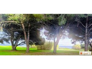 SAFTI DE CARLO Catherine conseiller indépendant