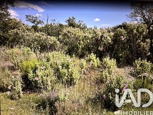 Vente Terrain 10 077 m²