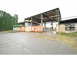 LOCAL D'ACTIVITE A VENDRE