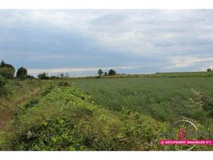 Achat Terrain 4 448m² SAUSSAN 34570