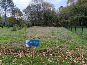 Vente terrain 1000 m² Bedenac (17210)