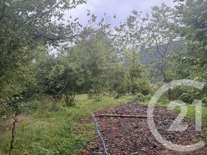 Terrain à vendre - 2400 m2 - La Tour - 74 - RHONE-ALPES