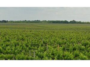 Vente terrain 649 m² Portets (33640)