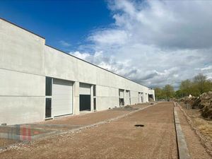 Surface industrielle à vendre à Diepenbekerweg 45 Hasselt (RBU74388)