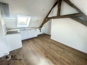 Location Appartement 3 pièces 73m² ST AY 45130