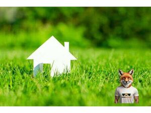 Terrain constructible viabilisé à vendre