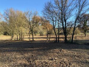 Vente maison neuf 90m2 Rians - 380000 € - Surface Privée