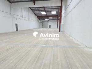 Cellule d'activité de 1 000m² - HSP de 8.80m - 1 porte de pla