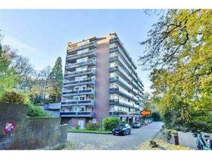 OPTION! OPTION! OPTION!