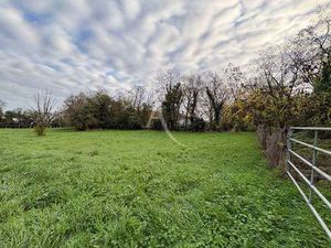 Vente Terrain à Nalliers (85370) : à vendre / 1200m² Nalliers