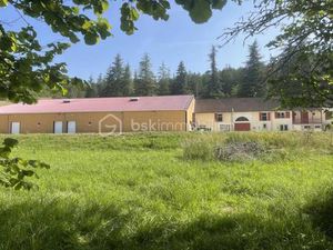 THIERRY GALLIEN BSK IMMOBILIER