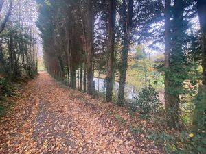 Vente terrain 2850 m² à Dohem (62380)  31 000 €