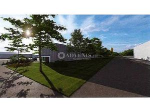 Local d'activités à louer