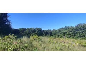 Vente terrain 1242 m² à Barjac (30430)  60 000 €