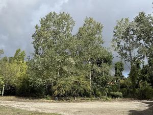 Vente terrain 551 m² à Le Taillan-Médoc (33320)  196 000 €